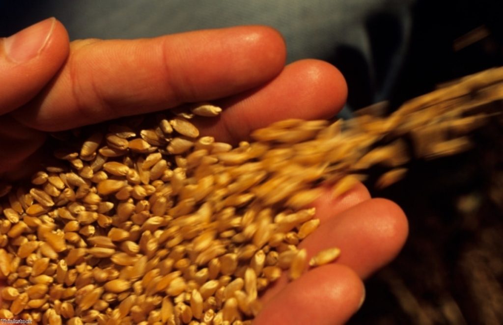 Wheat spills onto a worker