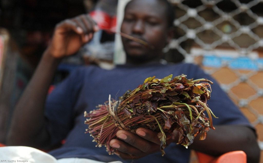 Khat: Will Labour oppose a ban? 