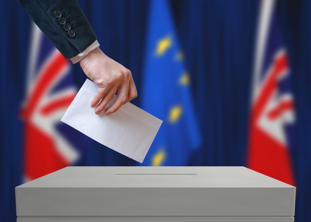 Single issue: Pro-EU votes could affect the general election  