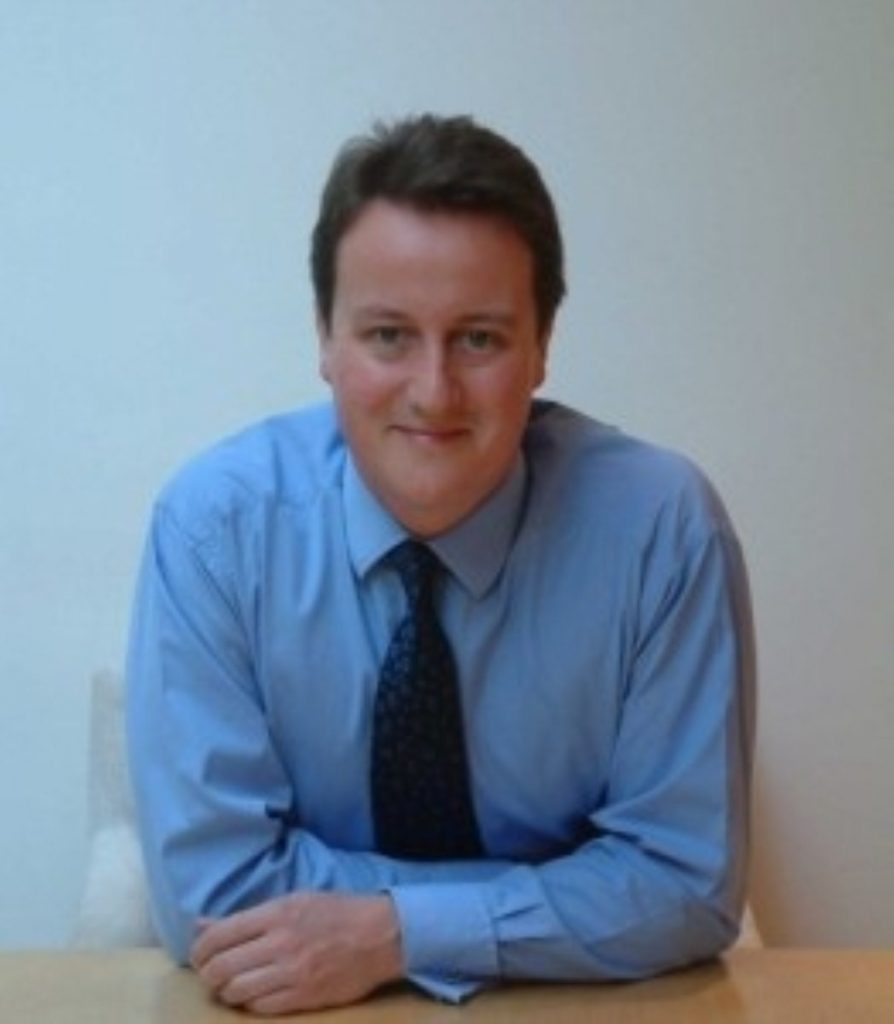 David Cameron unveils new 