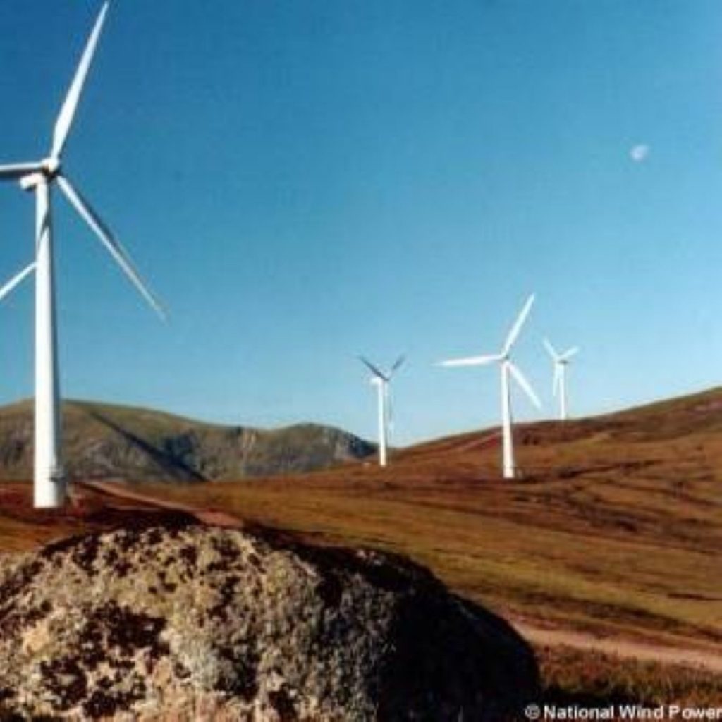 Environmentalists back the plan for the wind farm