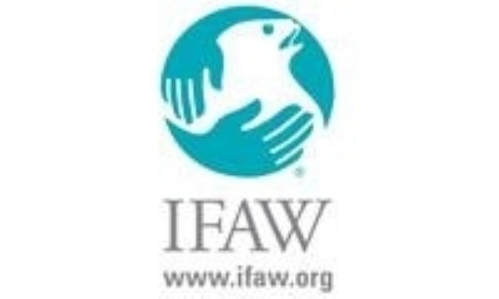 IFAW logo