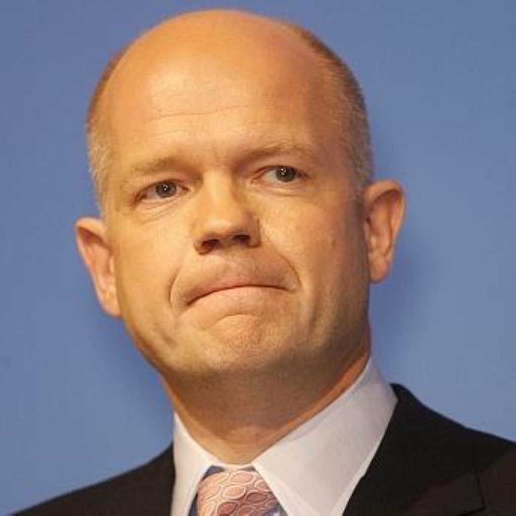 Hague: EU has ignored Ireland