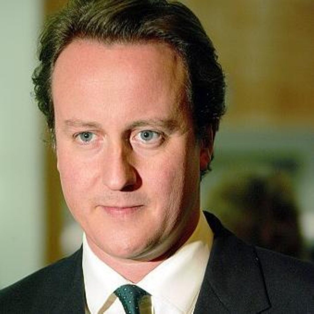 David Cameron: Cruising to victory?