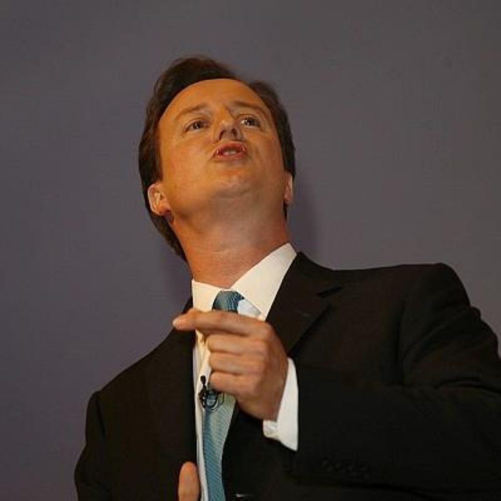 David Cameron, Tory leader