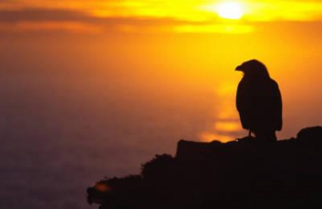 The sun sets on the Falklands Islands. Tensions have been high recently because of the anniversary of the conflict. 