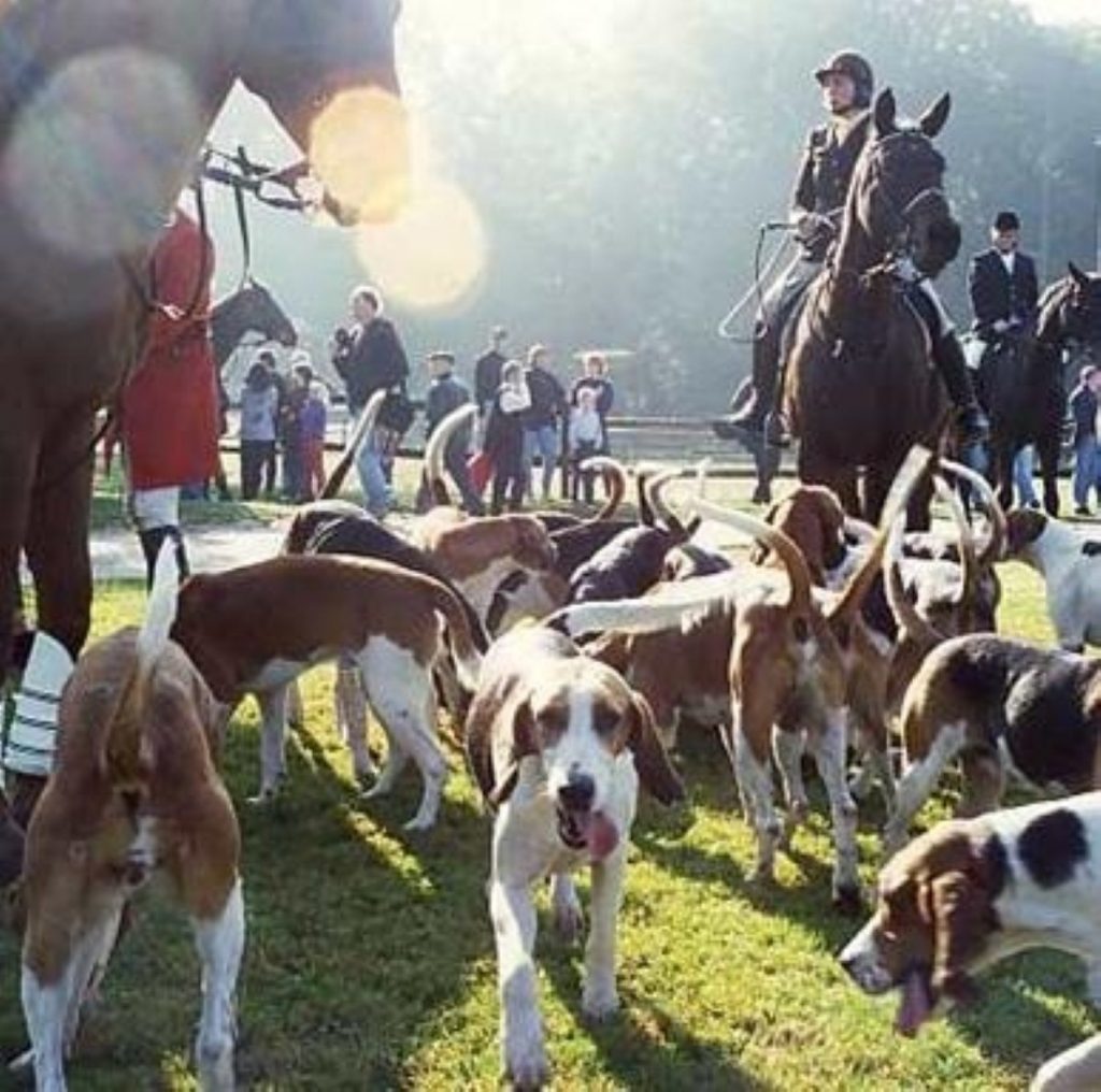 The Tories will offer a free vote on hunting with dogs