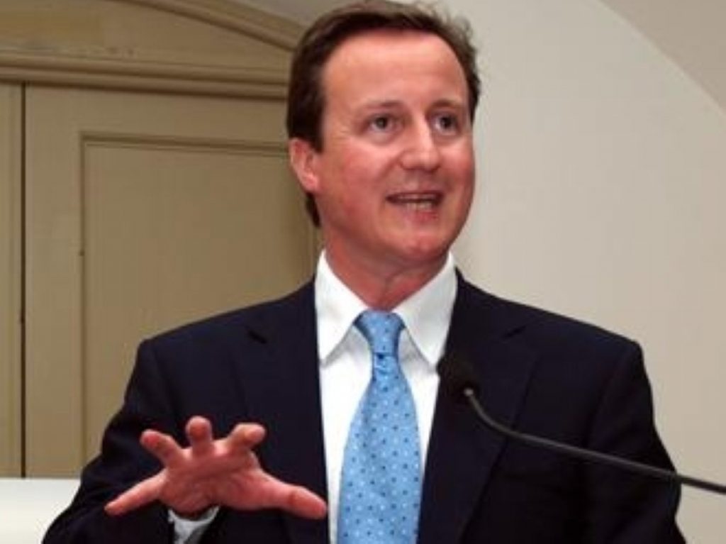 David Cameron, Tory leader