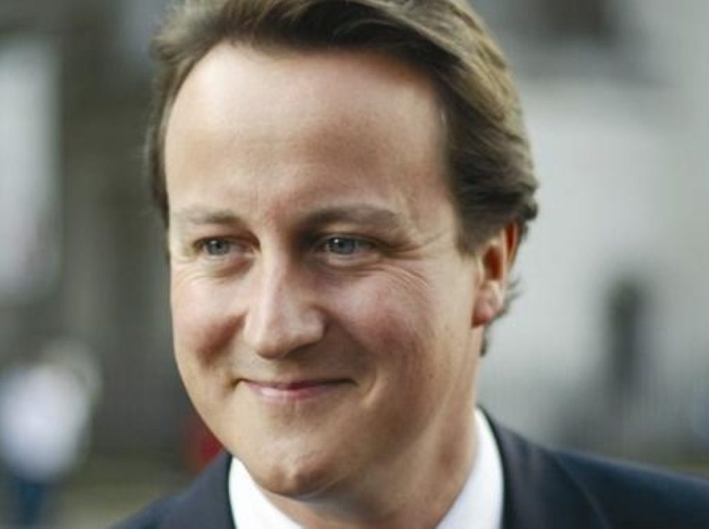 Happy days: Cameron