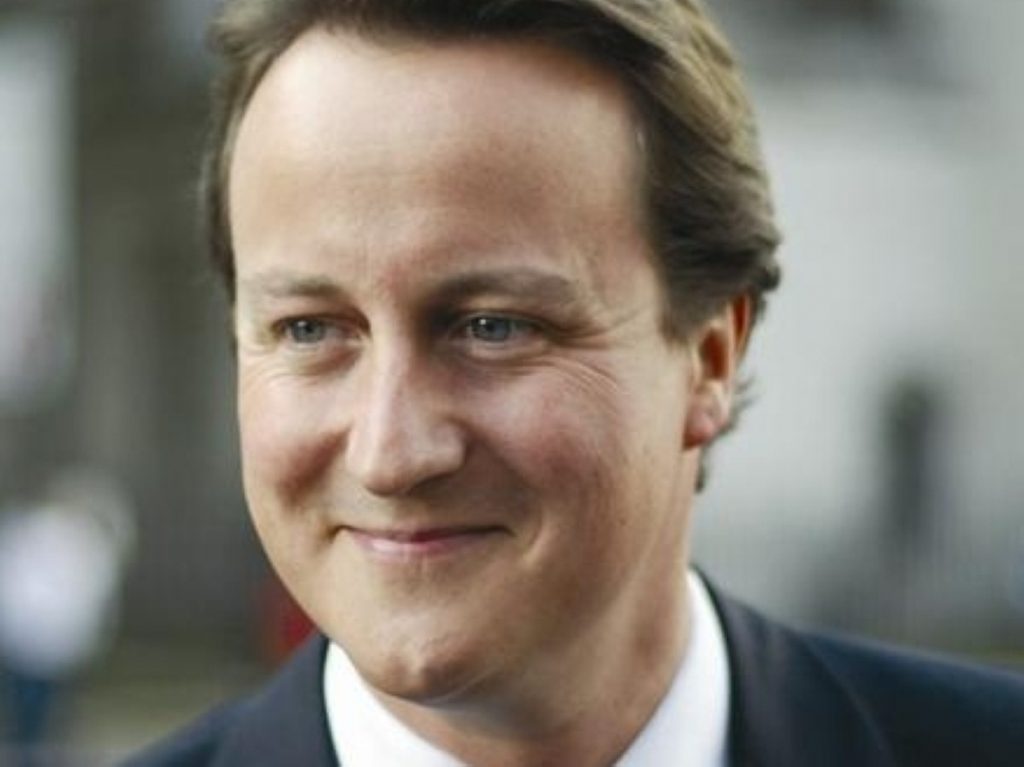 David Cameron pledged to make 