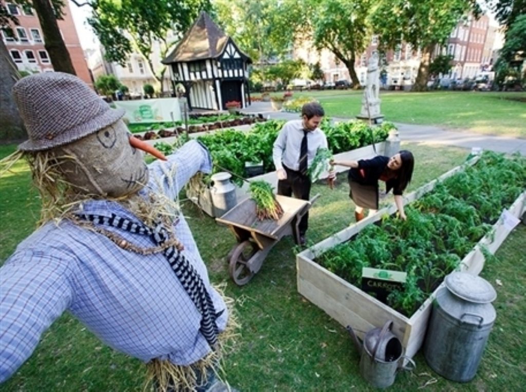 Some allotment waiting lists are ten years long